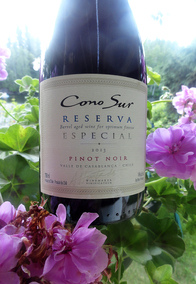 2014-07-08-PinotNoirConoSur2013.jpg