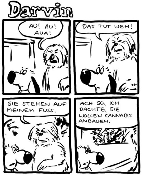 2014-07-25-DarvinSchmerzen.jpg