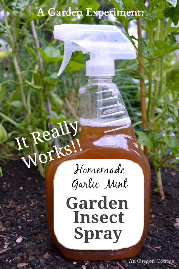 8 Homemade Pest Control Remedies That Really Work