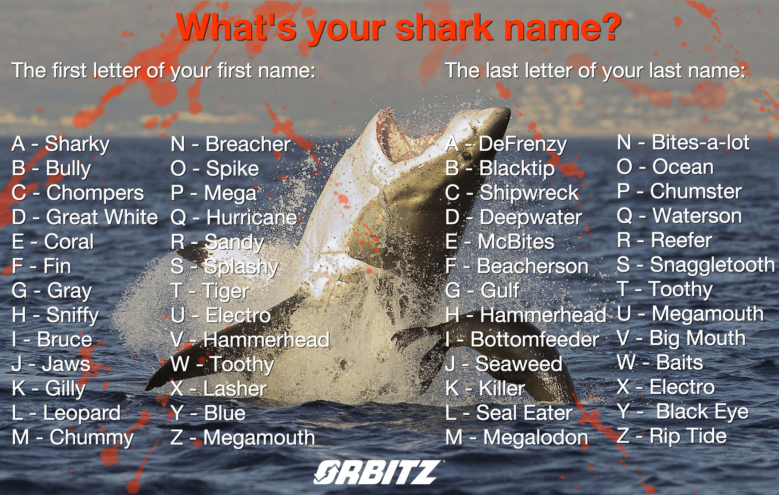 What name quiz is your What Is