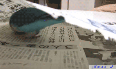 2014-08-29-tumblr_mwx7soVBqN1r38hk2o1_400.gif