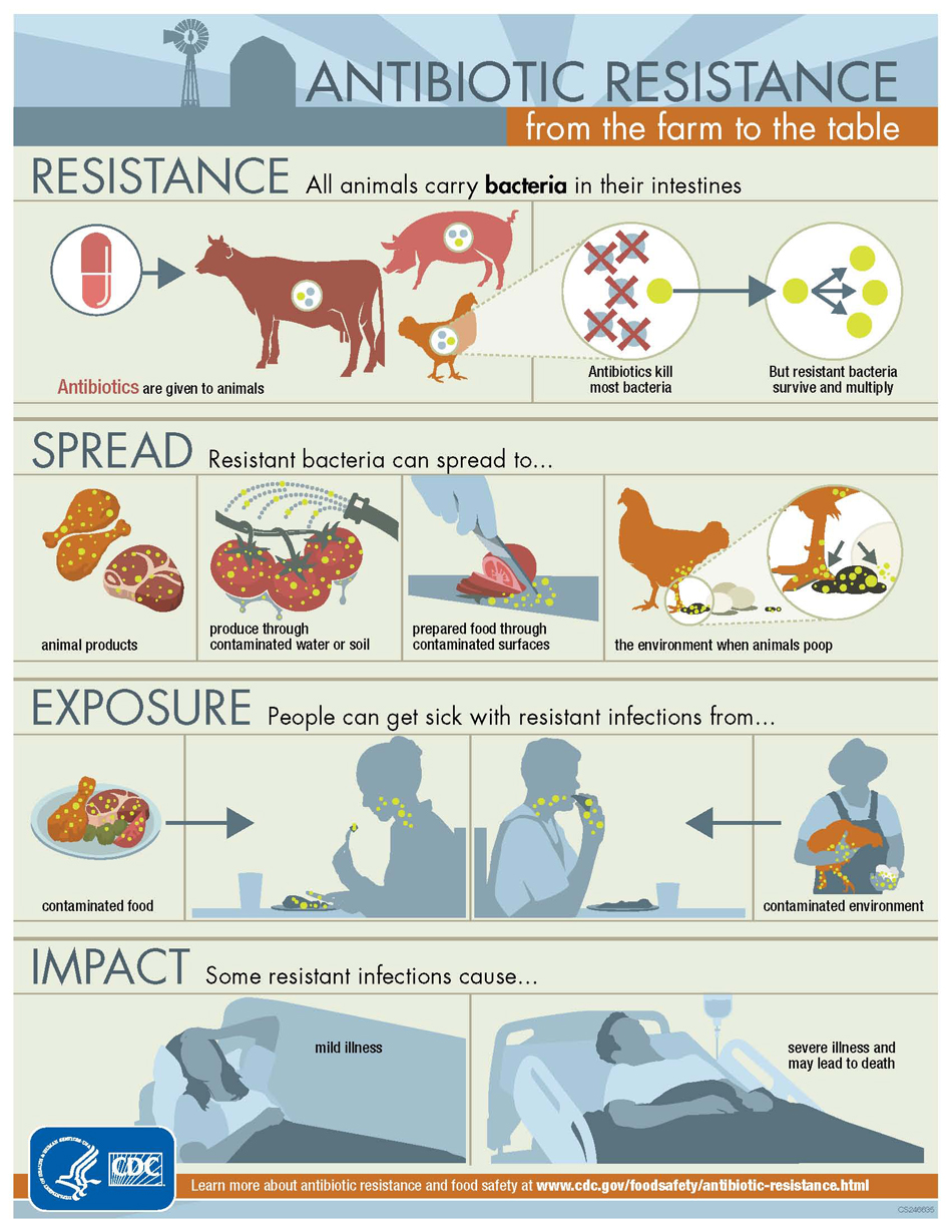 (PDF) Mobile antibiotic resistance - The spread of genes 