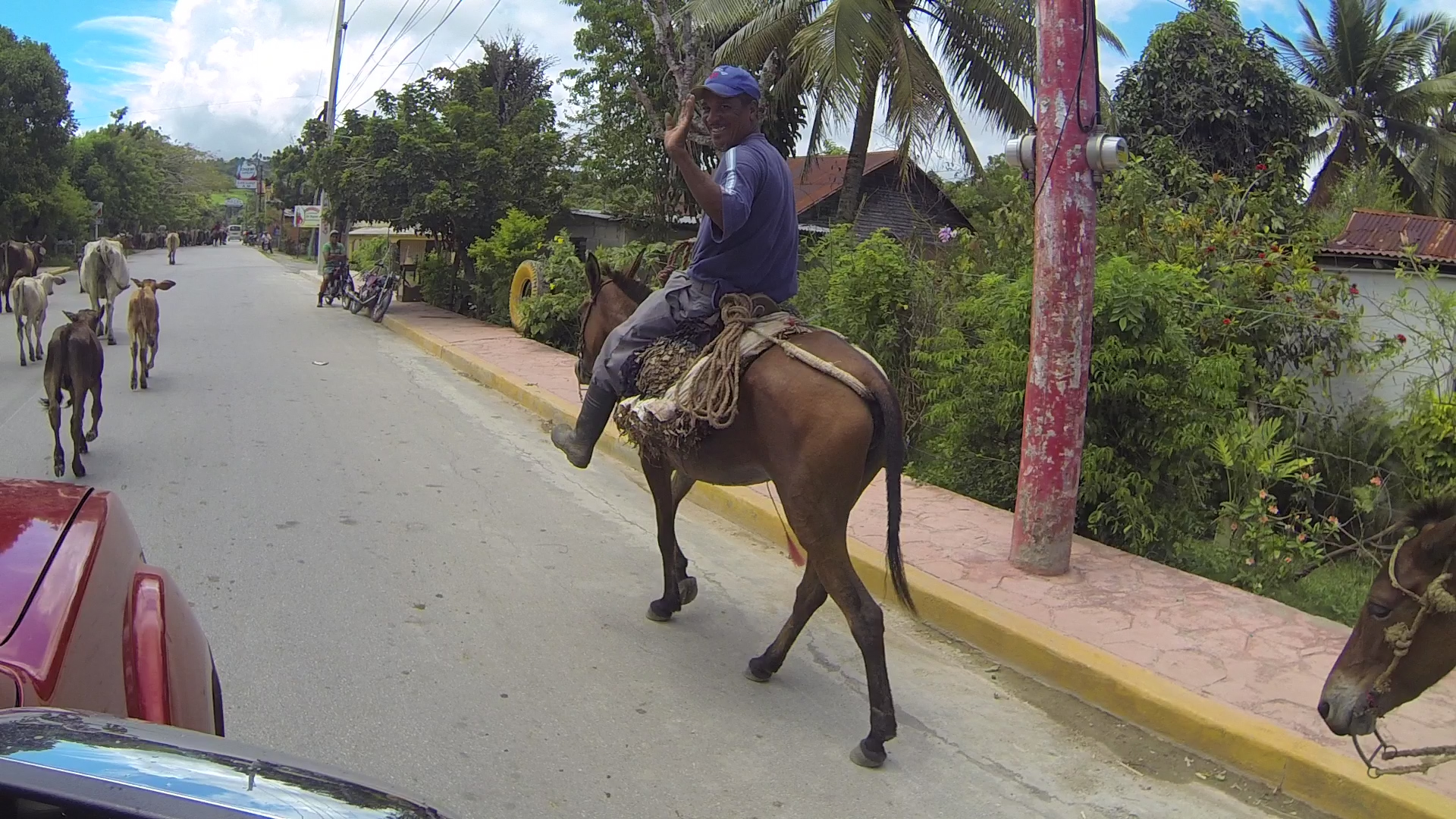 6 Reasons Why Dominican Republic Road Trips Are The Best Huffpost