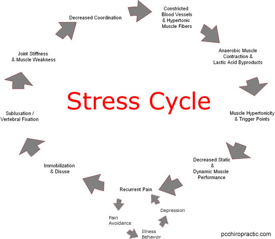 download detail process charting: speaking the