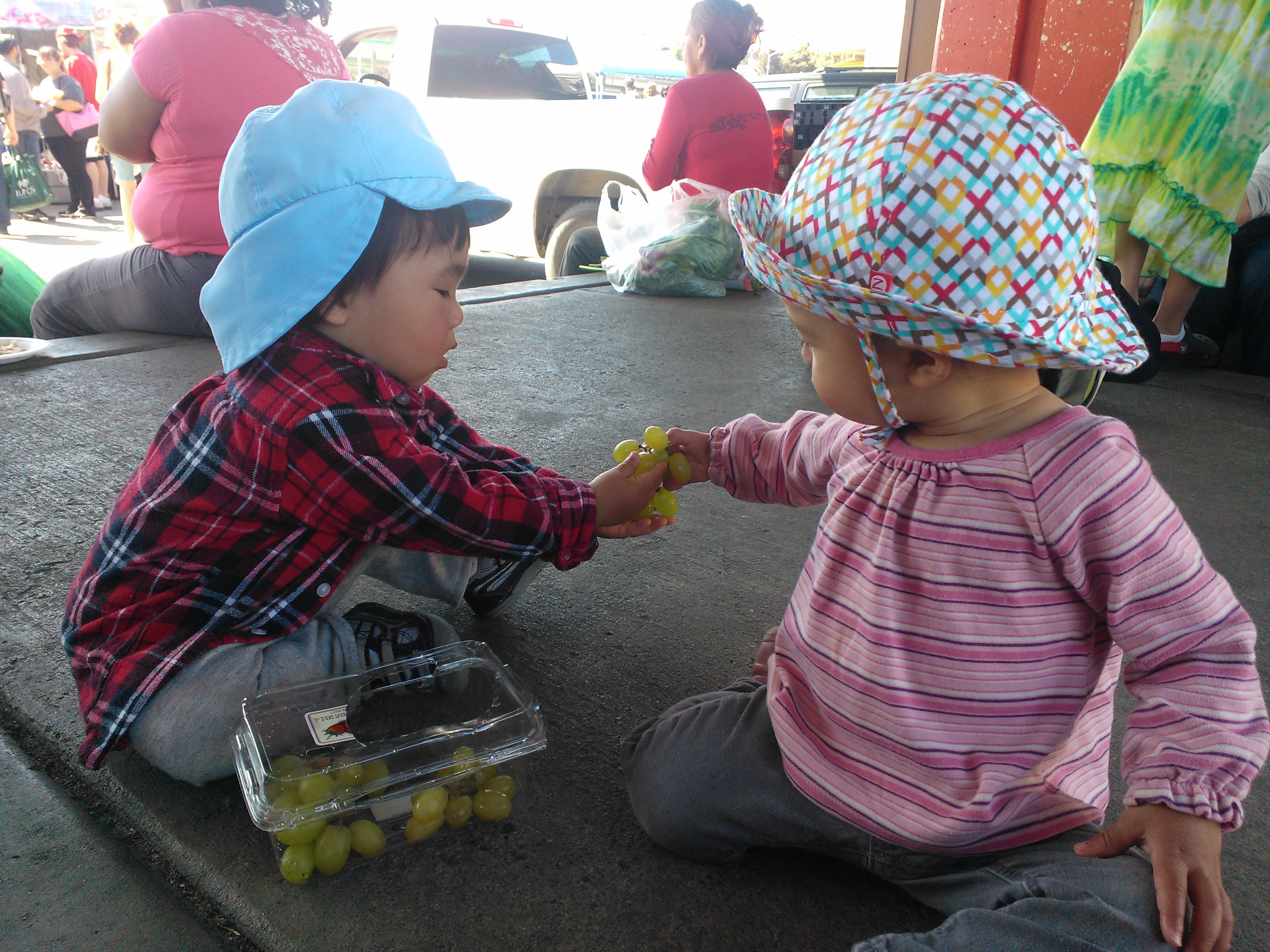 kids fighting over toys