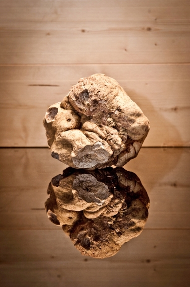2014-11-13-001_Tartufo_Stefania_Spadoni_Archivio_Ente_Turismo_Alba_Bra_Langhe_Roero.jpg