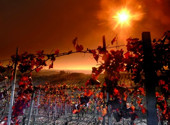 2014-11-13-008_paesaggio_tramonto_grinzane.jpg