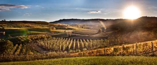 2014-11-13-Archivio_Ente_Turismo_Alba_Bra_Langhe_Roero.jpg