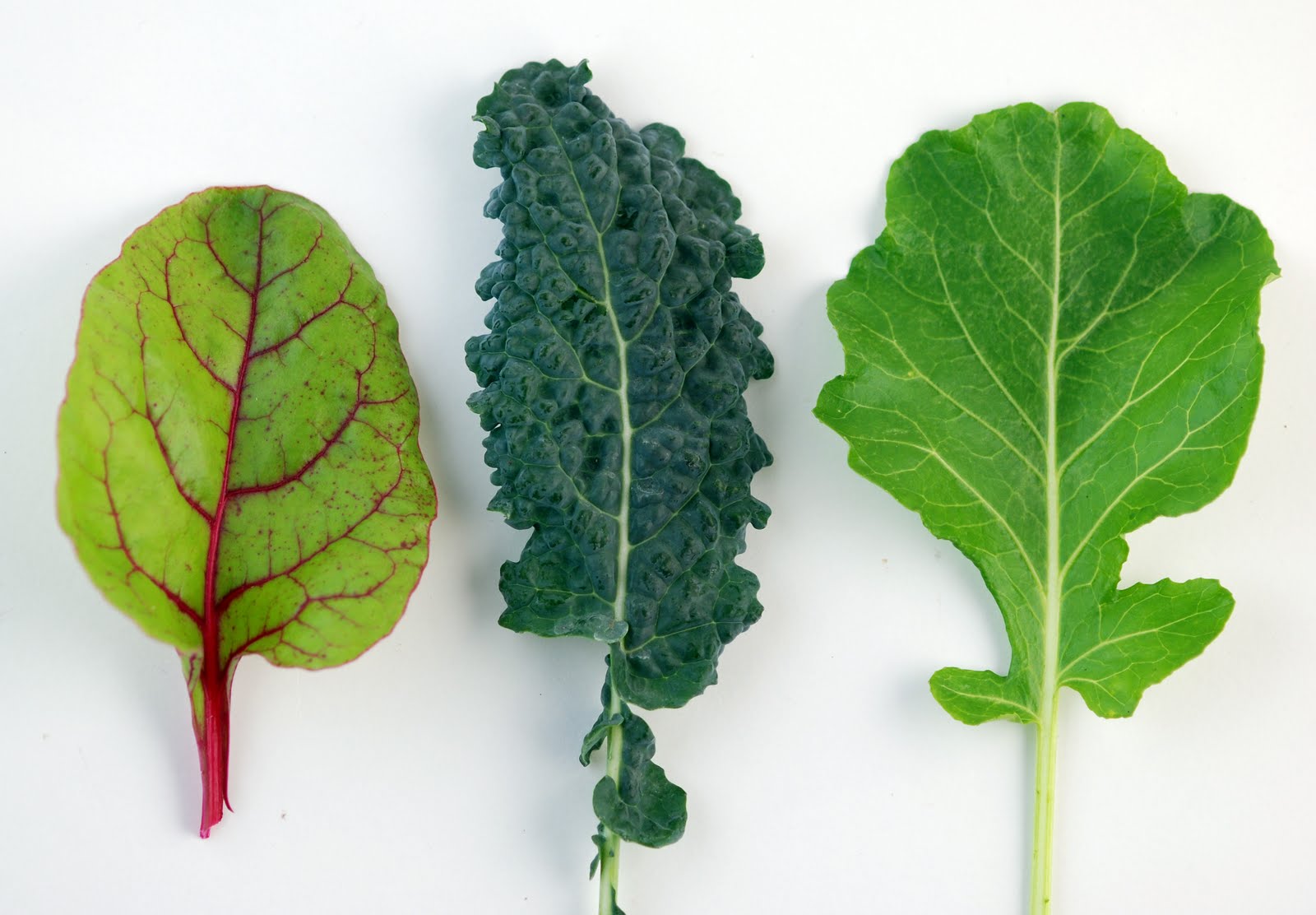 http://images.huffingtonpost.com/2014-11-24-Kale.jpg