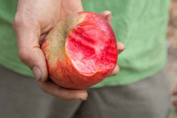 2014-11-25-Farm2table50.jpg