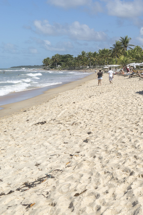 2014-12-04-uxuabeachjpg.jpg