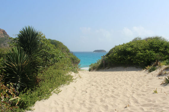 2014-12-17-stbarthssalinebeachberitbaugher.jpg