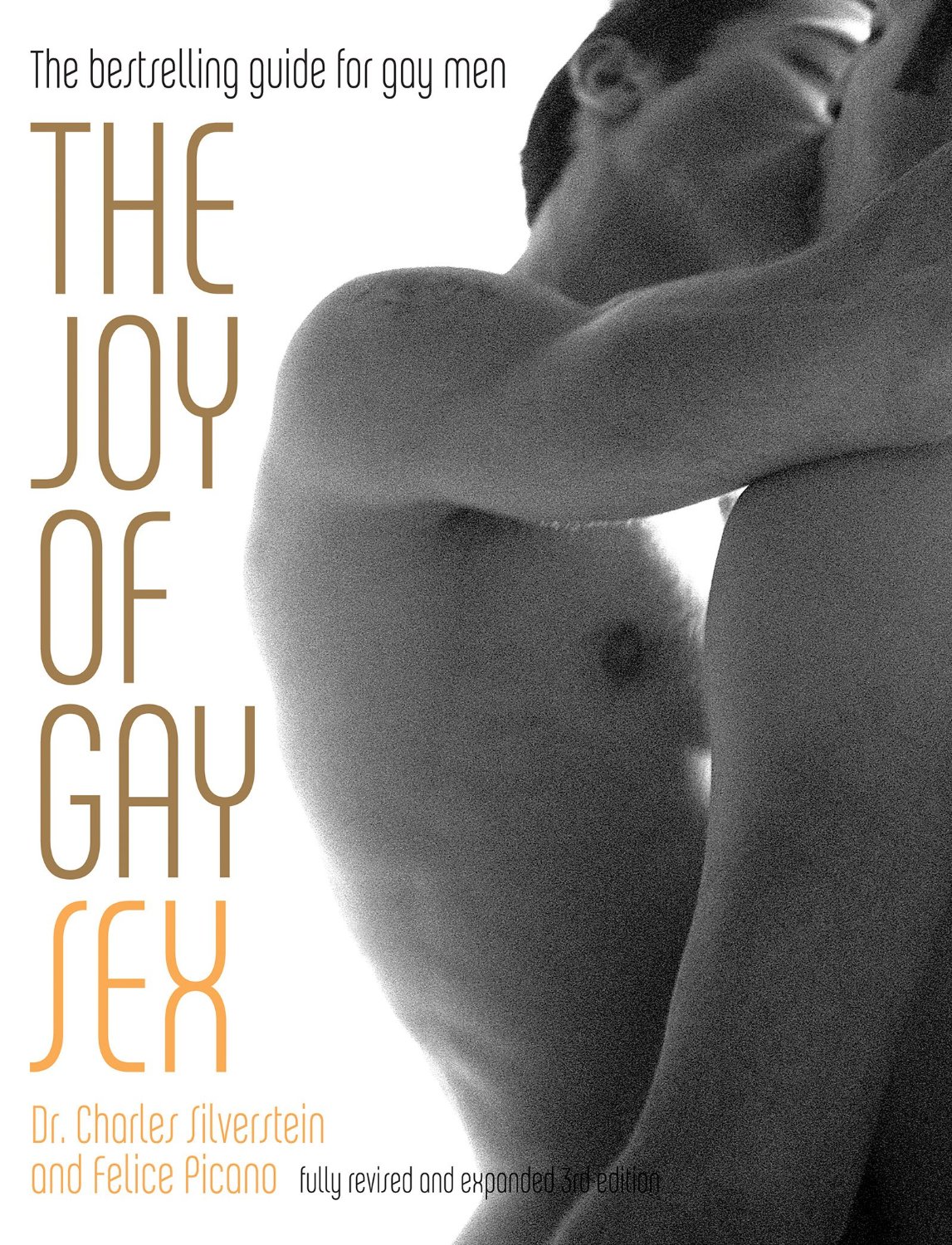 The Top 10 Bestselling Gay Sex Books of 2014 | HuffPost Voices