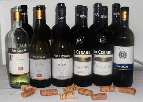 2014-12-20-Lineup1.jpg