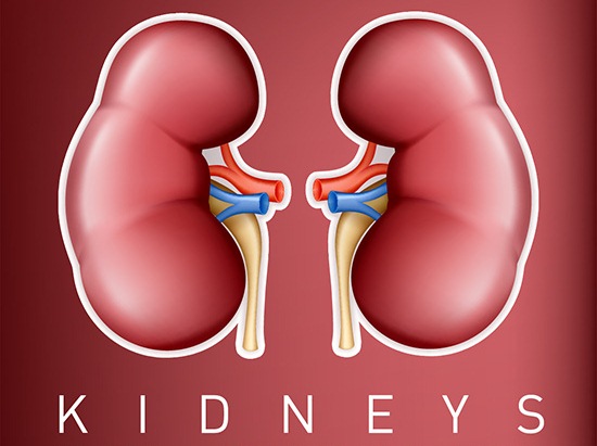 How To Take Care Of Your Kidneys