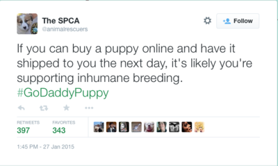 2015-02-02-SPCA.tiff
