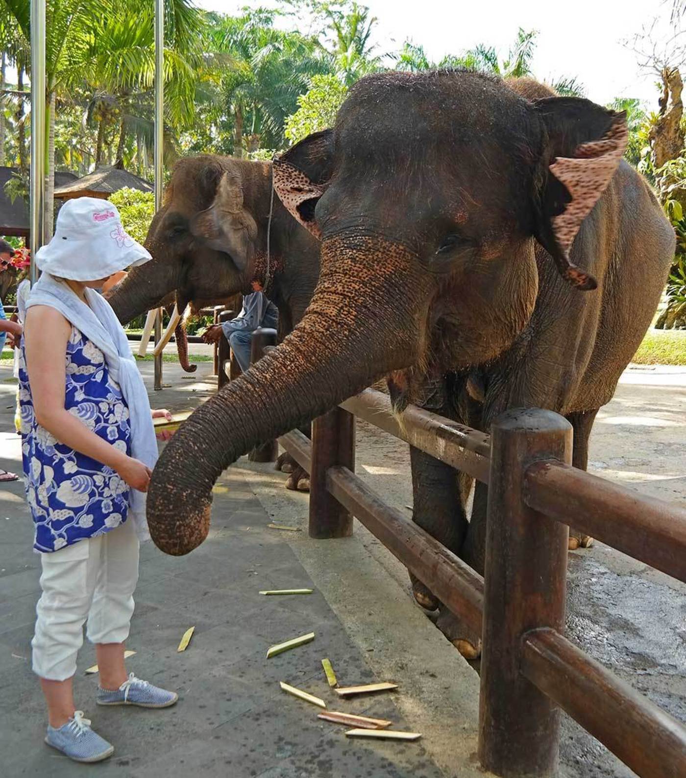 http://images.huffingtonpost.com/2015-02-19-Bali6.jpg