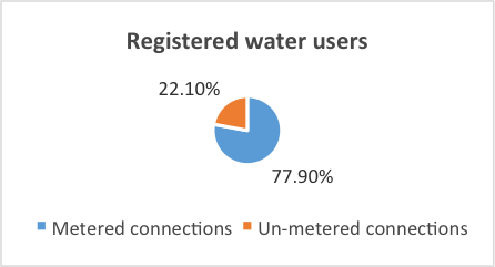 2015-02-19-Swaniti2.png