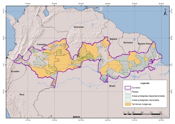 ave 55% of the Colombian Amazon Rainforest 