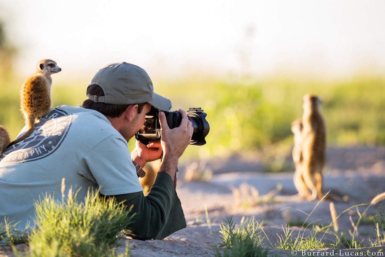 10 Wildlife Photographers You Should Follow on 500px Right Now | HuffPost