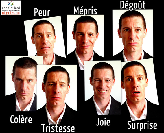 Les 7 émotions primaires universelles