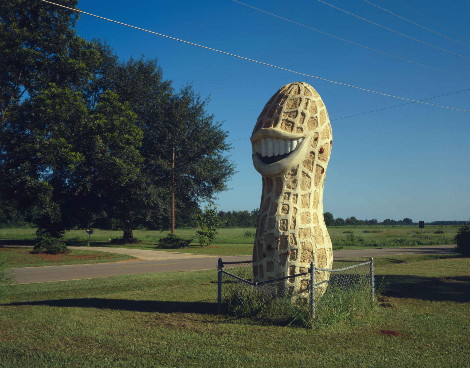 The Roadside Attraction