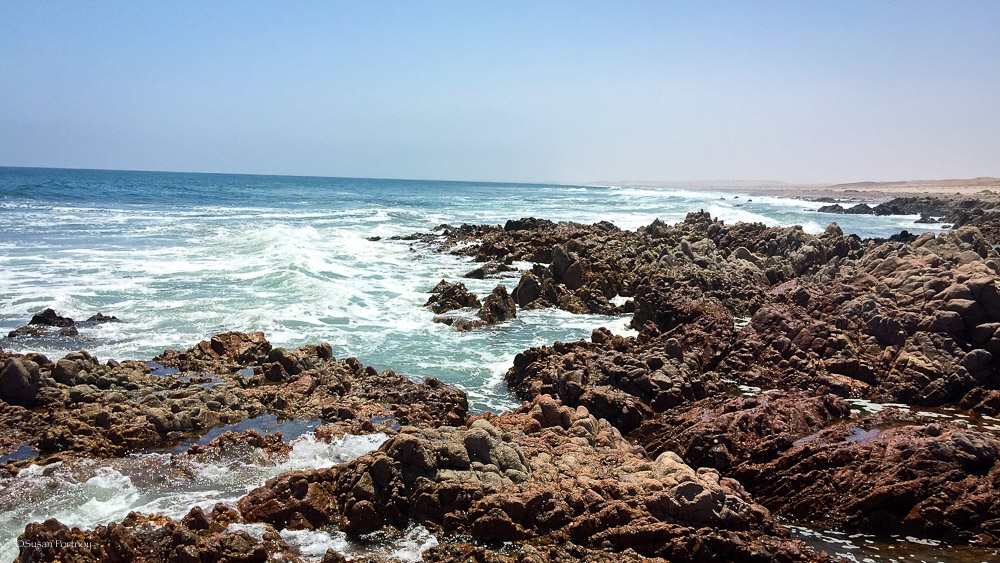 The Adventure Of A Lifetime Essay