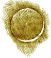 2015-05-08-1431082494-4826481-luna.jpg