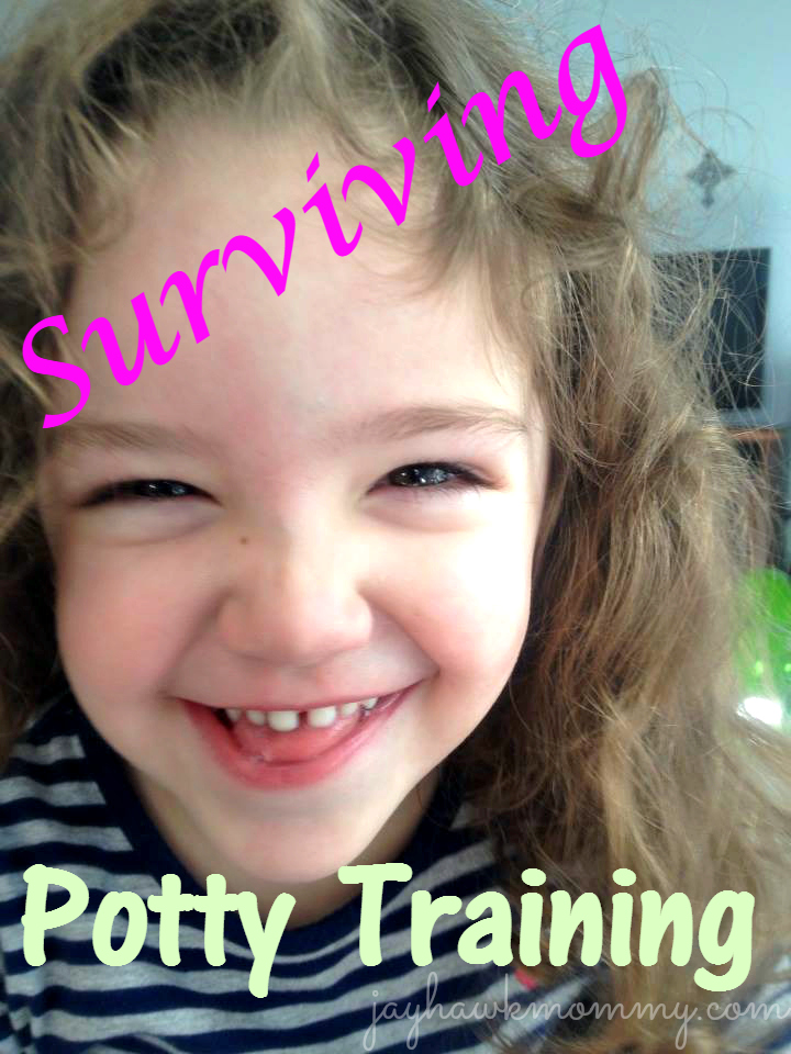 6 Tips to Survive Potty Training Your Toddler HuffPost