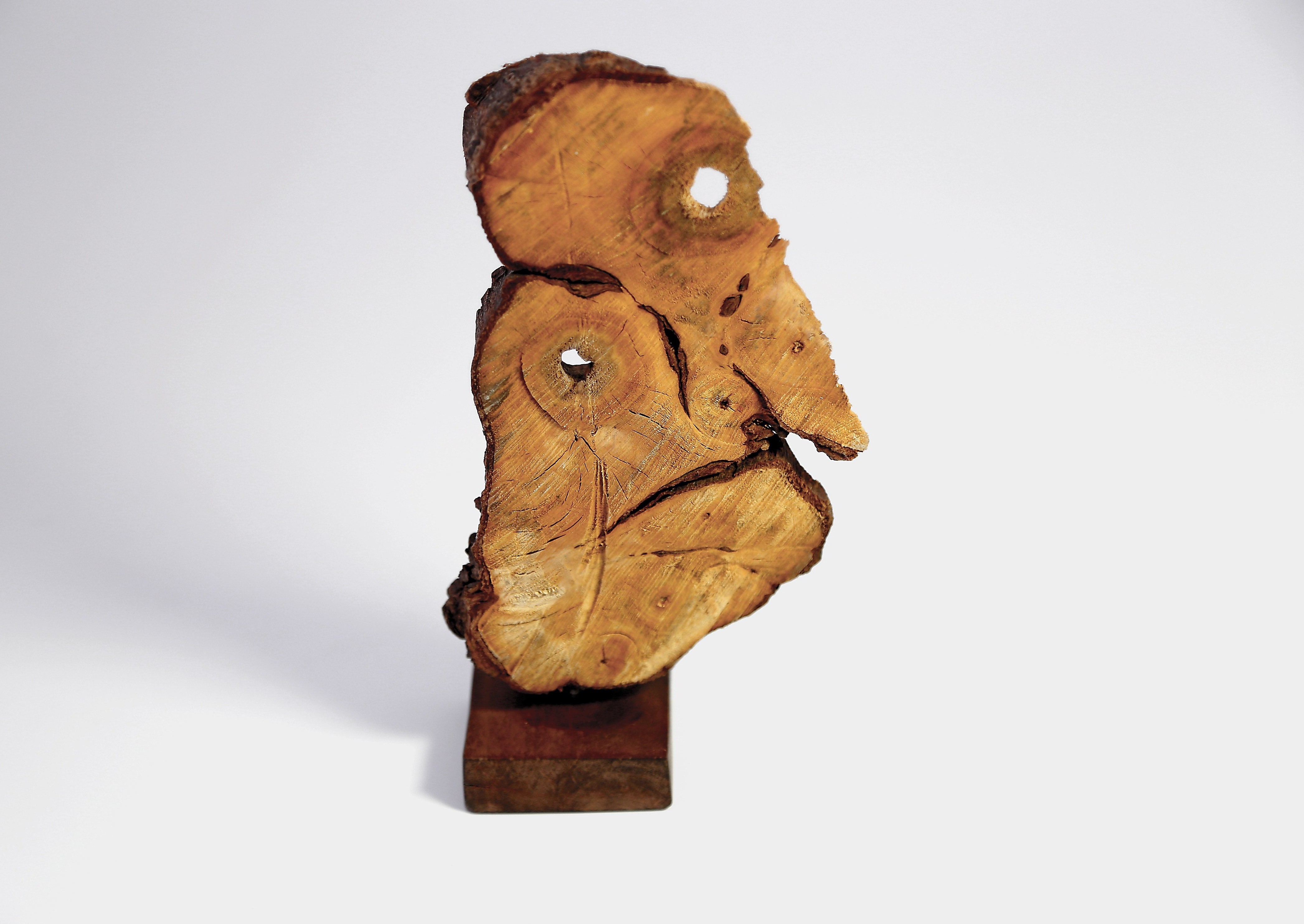 2015-06-11-1434027668-1340432-LHOMMEDEBOIS.jpg