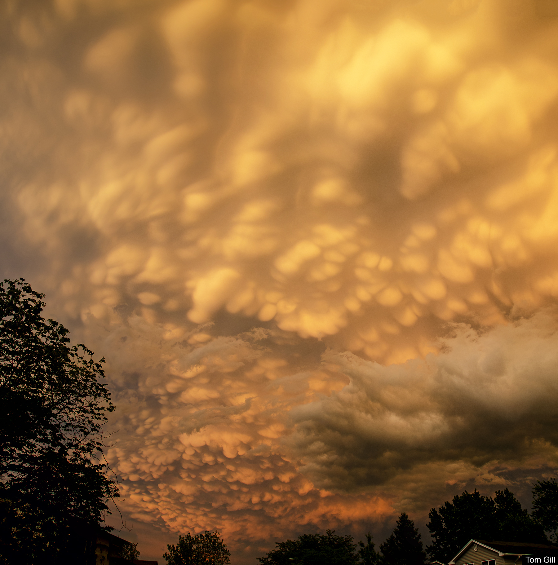 Albums 96+ Images why is the sky yellow during a storm Updated