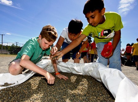 2015-06-12-1434105903-4959295-WorldDayAgainstEvent.jpg