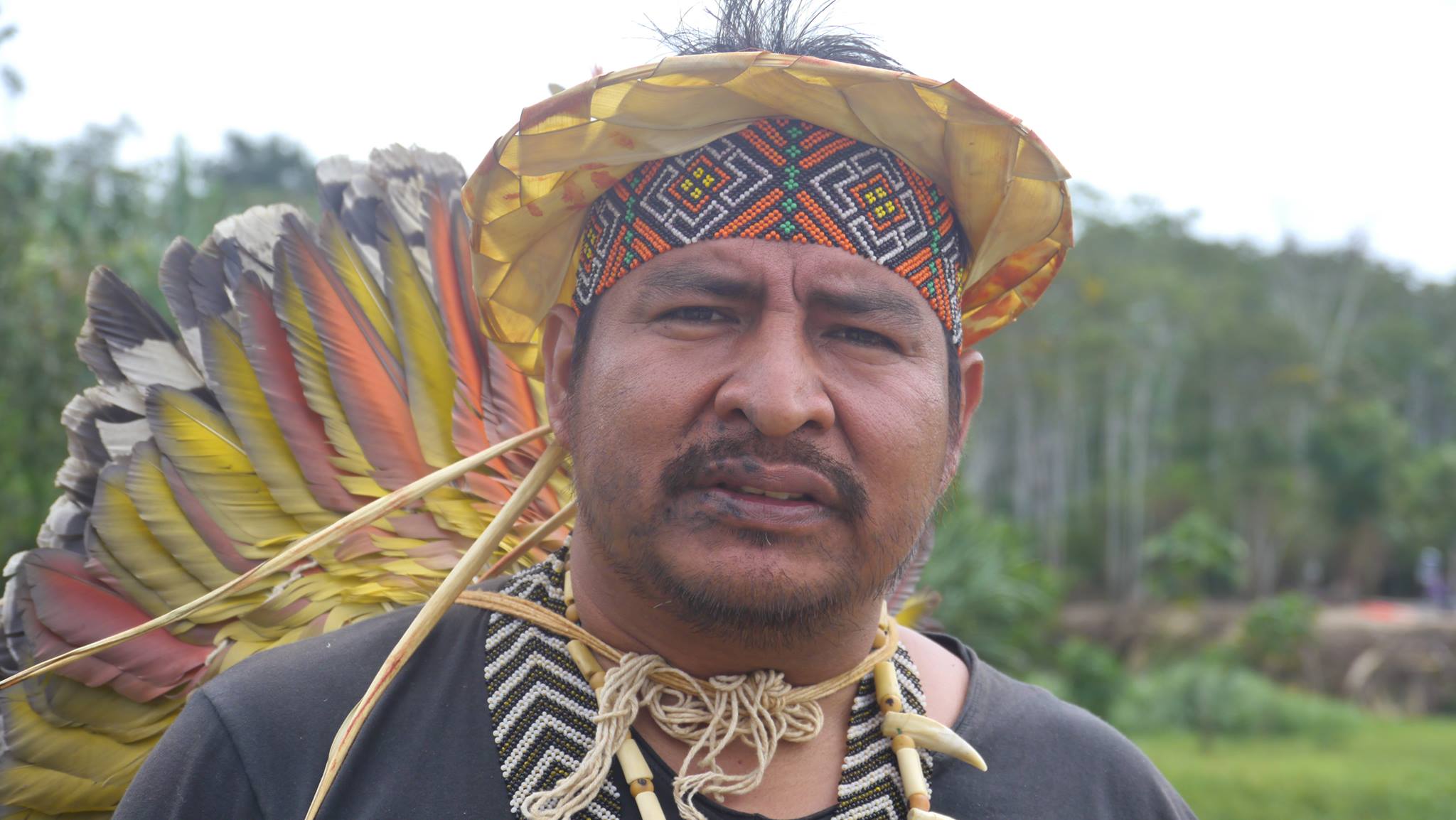 10 Years of REDD+ in Acre and its Impacts on Indigenous Women and Female  Extrativistas