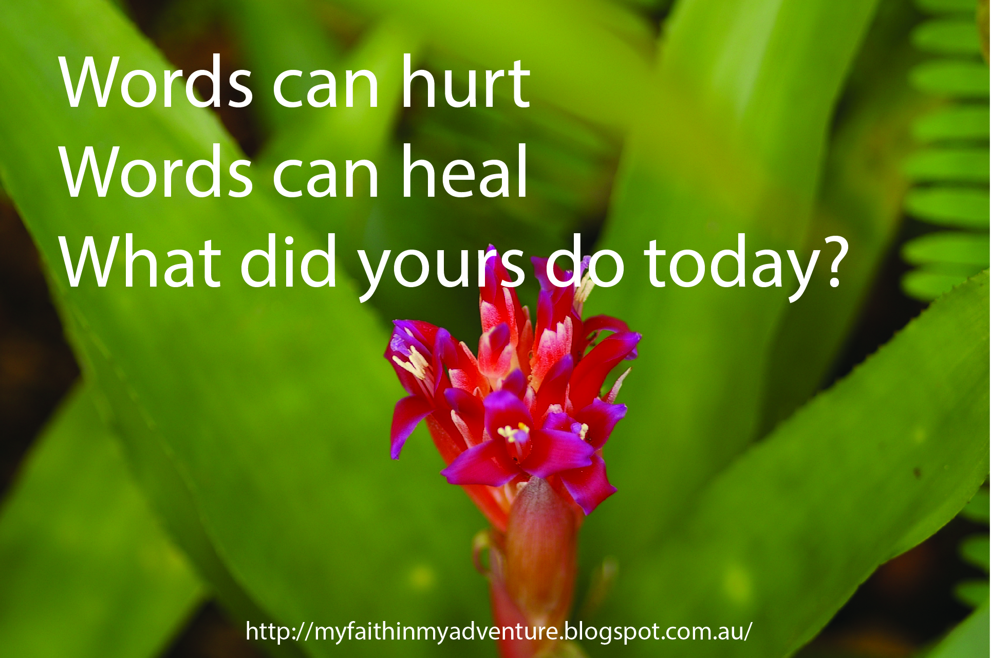 words-can-hurt-words-can-heal-huffpost