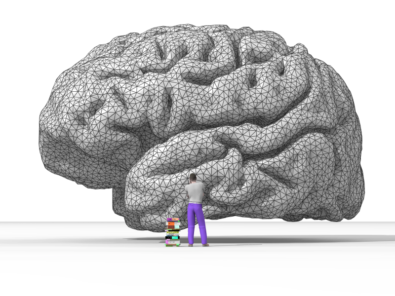 2015-09-10-1441900858-3001134-CEREBRO.png