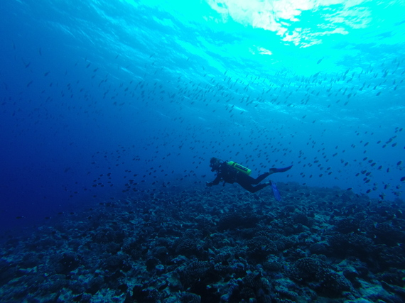 2015-10-08-1444338310-9602610-BRASILPOSTMergulho.jpg