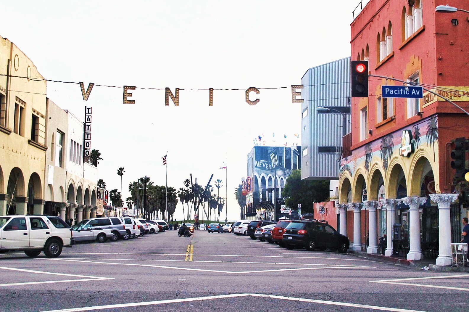 does venice beach allow dogs