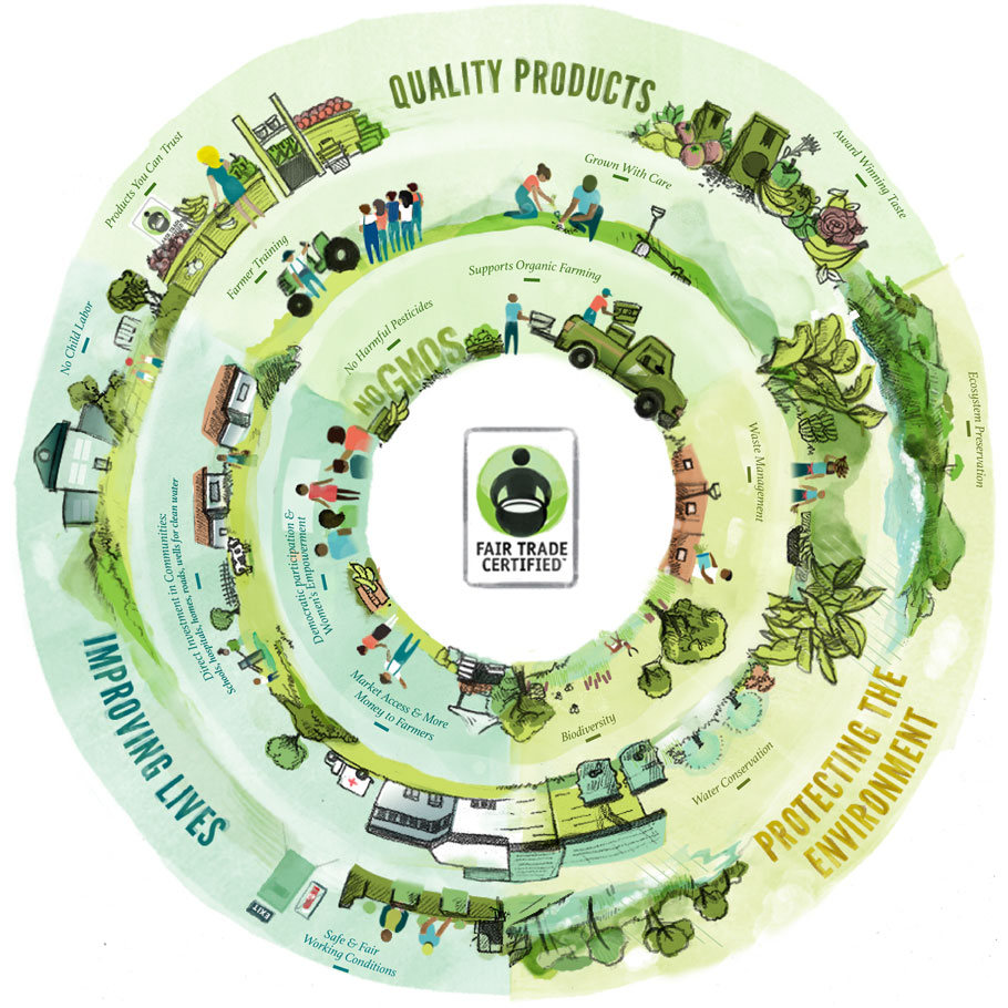 what-actually-is-fairtrade-sustainability-at-kent