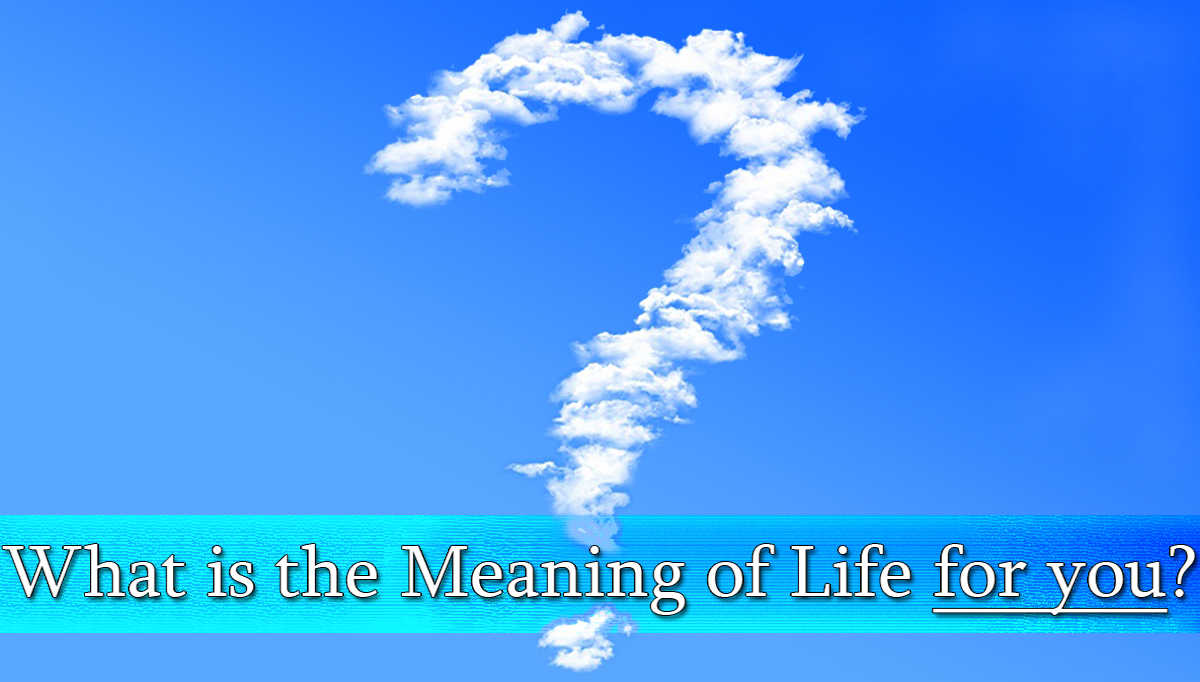 What Is the Meaning of Life for You? HuffPost Life