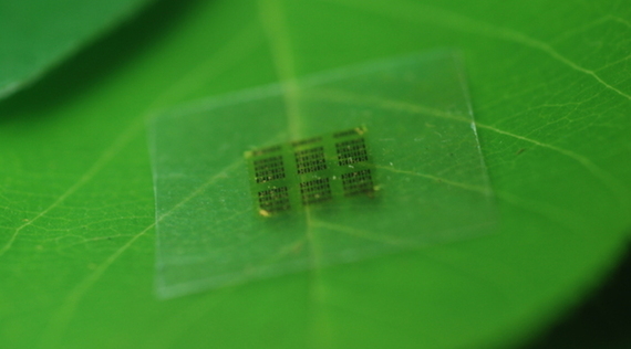 2015-10-23-1445636220-9849916-biodegradable_chips_900x500.JPG