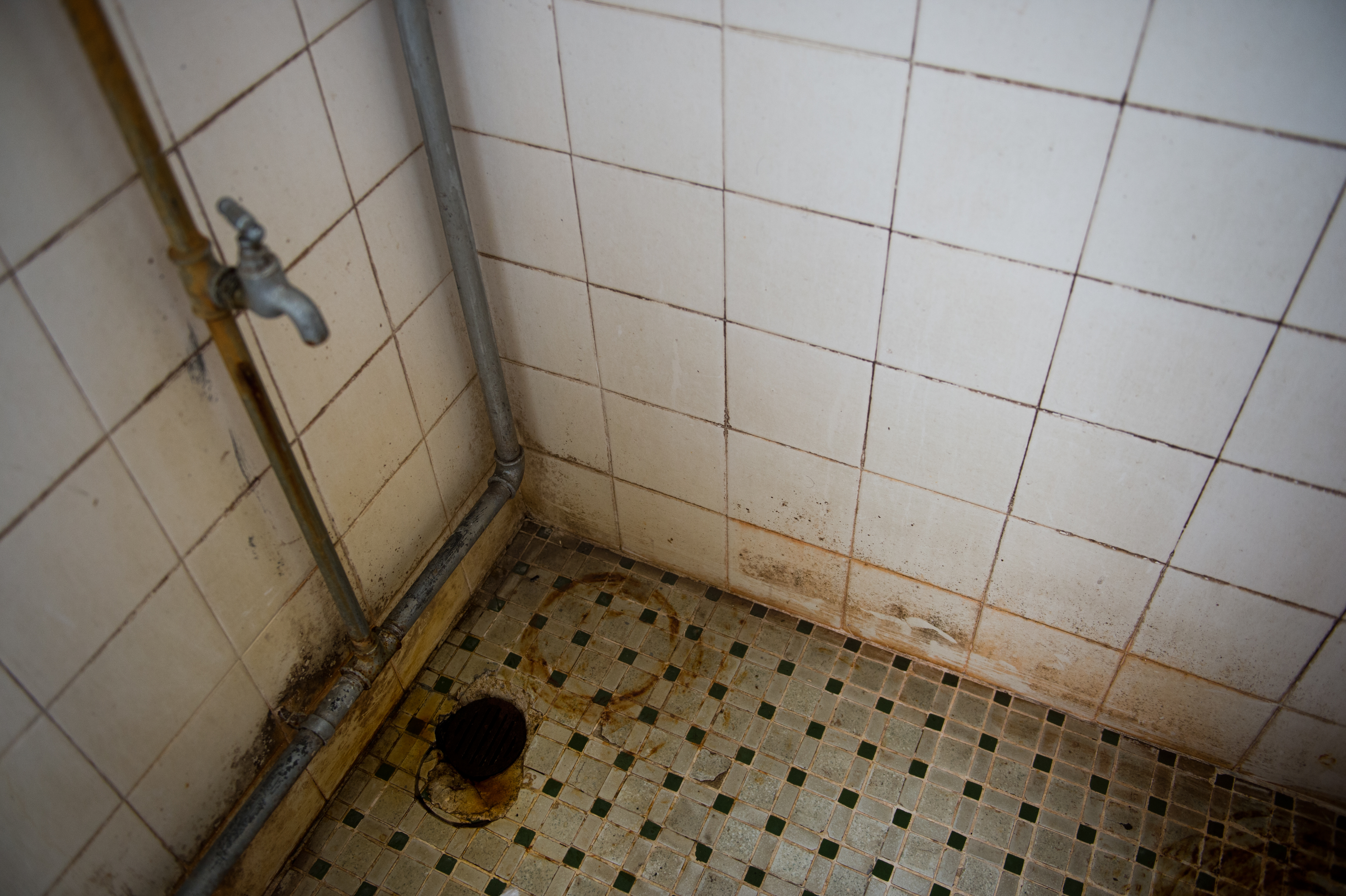 5 Gross Things In Your Shower And What To Do About Them