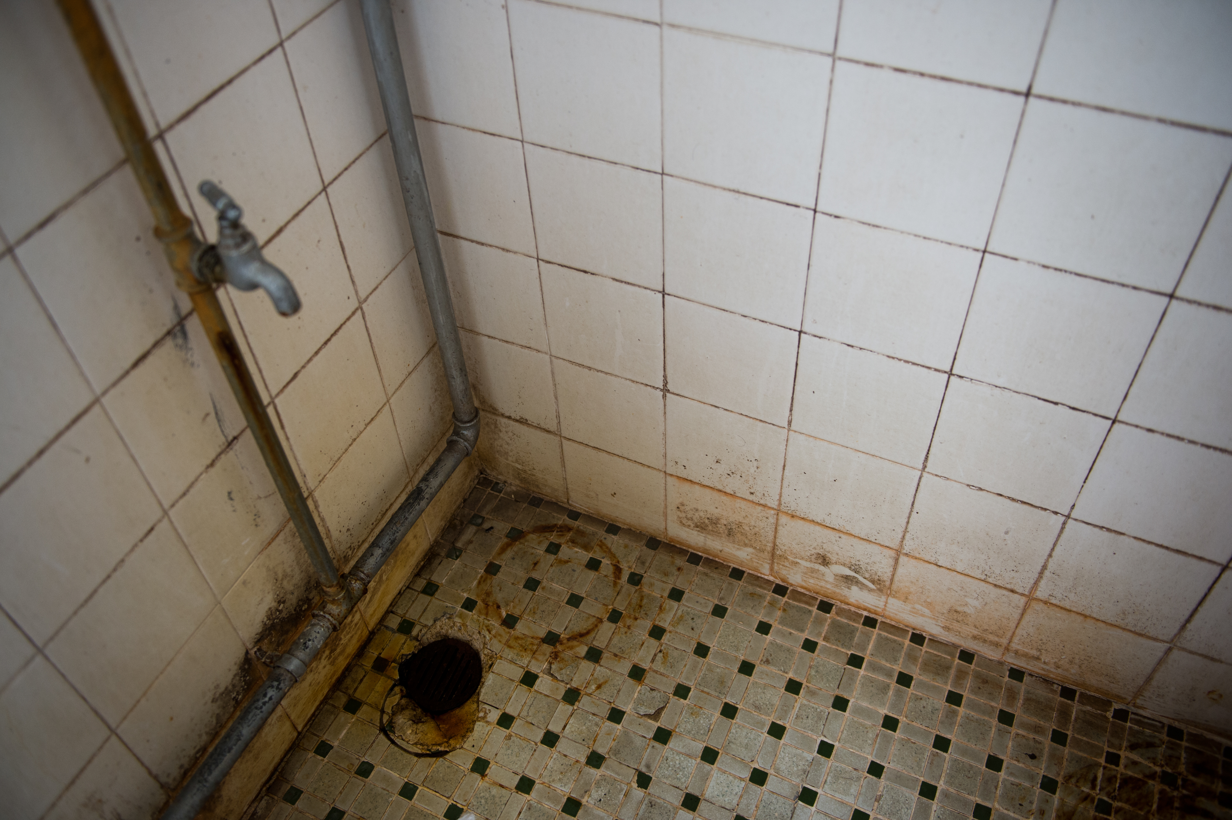 I was sick of my filthy shower and stained grout - now it looks