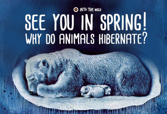 2015-12-03-1449141684-9480102-hibernate.png