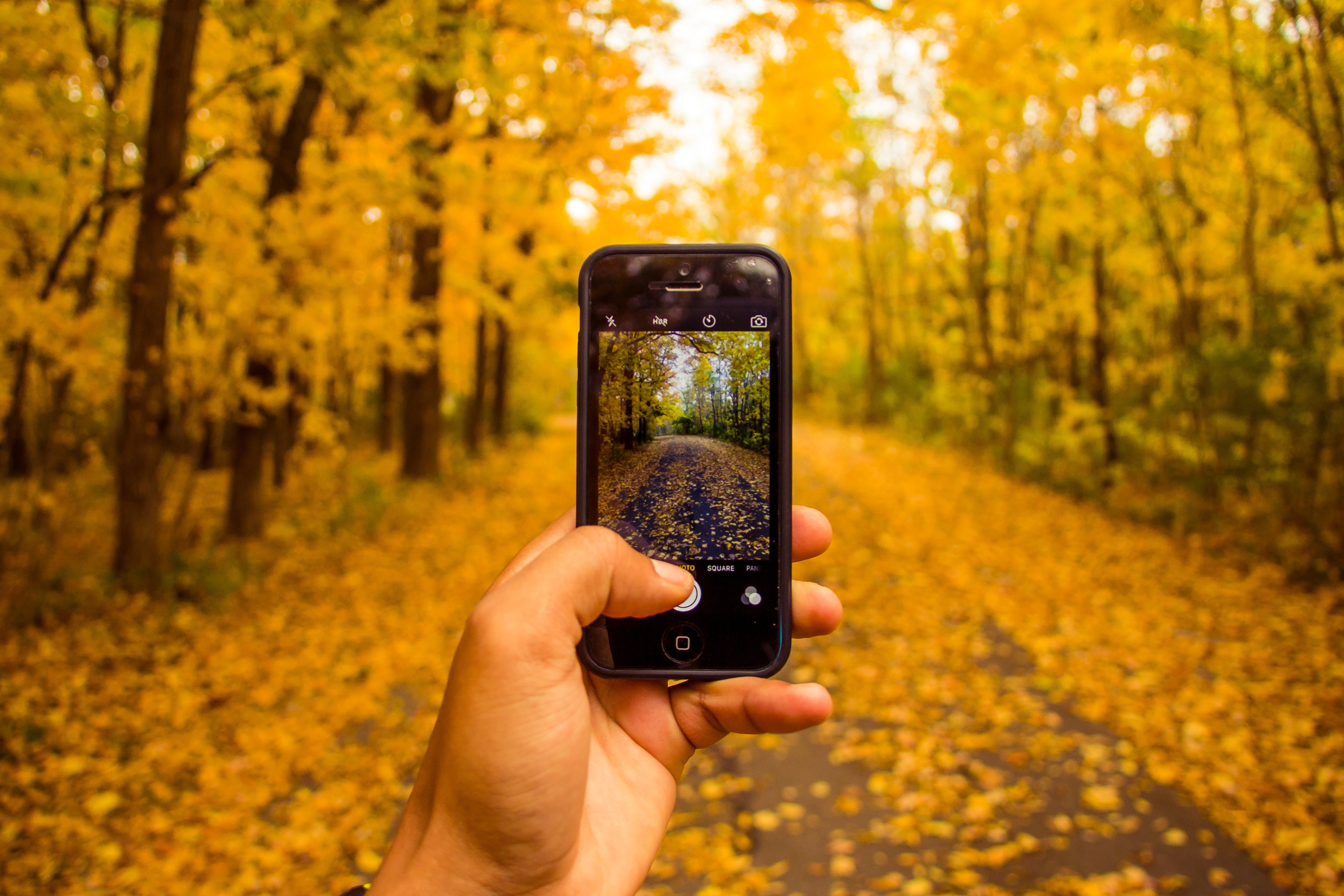 20 Unusual Gift Ideas For The Traveler In Your Life HuffPost Life
