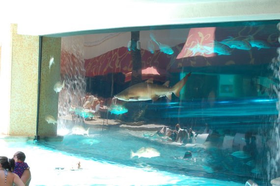 2015-12-11-1449872746-8266463-GoldenNugget3.jpg