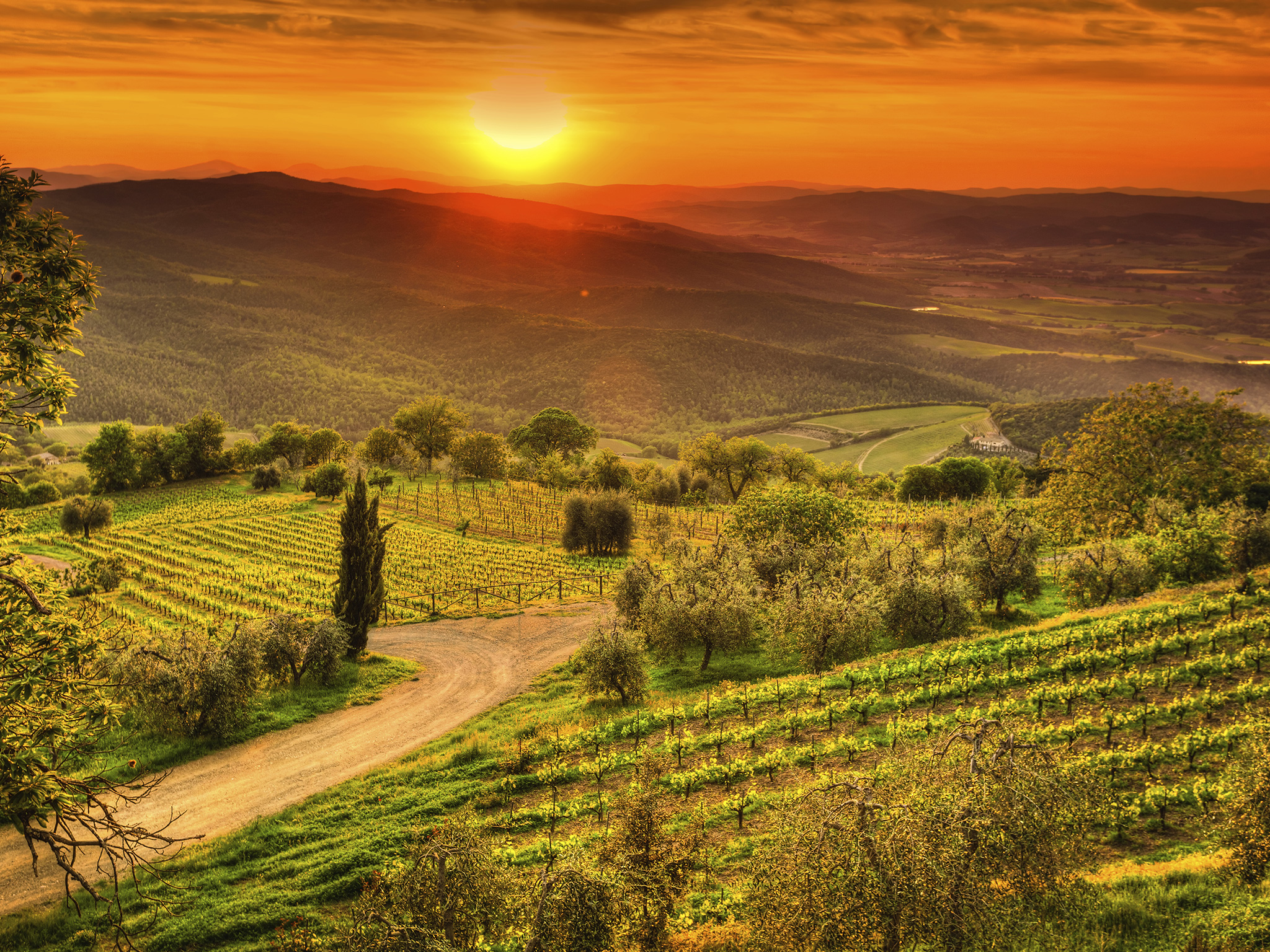 Spain Landscape