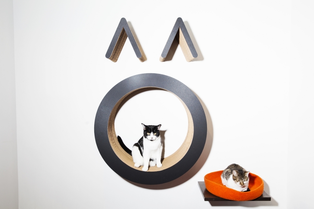 Adopt — Koneko Cat Cafe