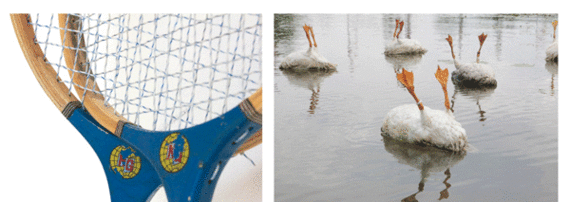 Thomas Wattebled, portrait d'un artiste fond