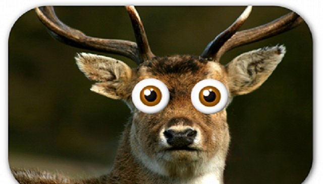 approaching-linkedin-without-the-deer-in-the-headlights-look-huffpost