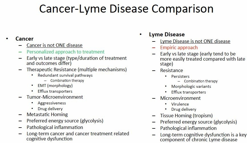 Lyme The Infectious Disease Equivalent Of Cancer Says Top Duke 